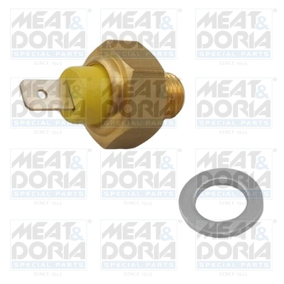 Temperature Switch, coolant warning lamp
